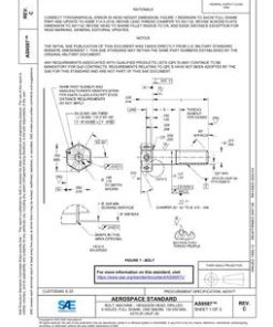 SAE AS9587C pdf