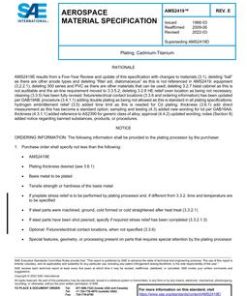 SAE AMS2419E pdf