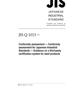 JIS Q 1013:2021 pdf