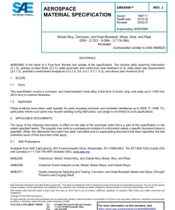 SAE AMS5599J pdf