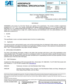 SAE AMS5565M pdf