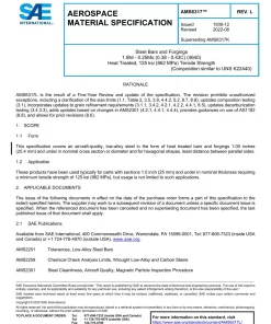 SAE AMS6317L pdf