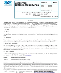 SAE AMS6494C pdf