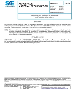 SAE AMSM3171A pdf