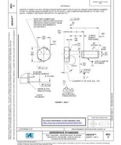 SAE AS3416C pdf