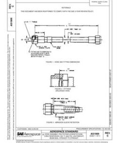 SAE AS1909D pdf