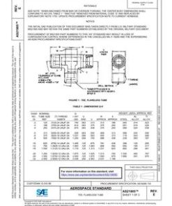 SAE AS21905E pdf