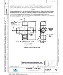 SAE AS21906E pdf