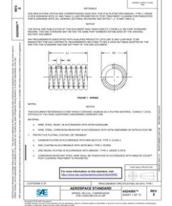 SAE AS24585E pdf