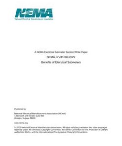 NEMA BS 31002-2022 pdf