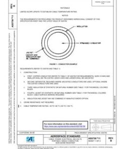 SAE AS5756/1B pdf